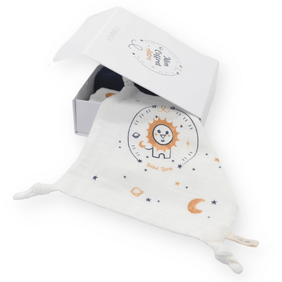 Coffret astro lion Tom et mila - Maison Continuum