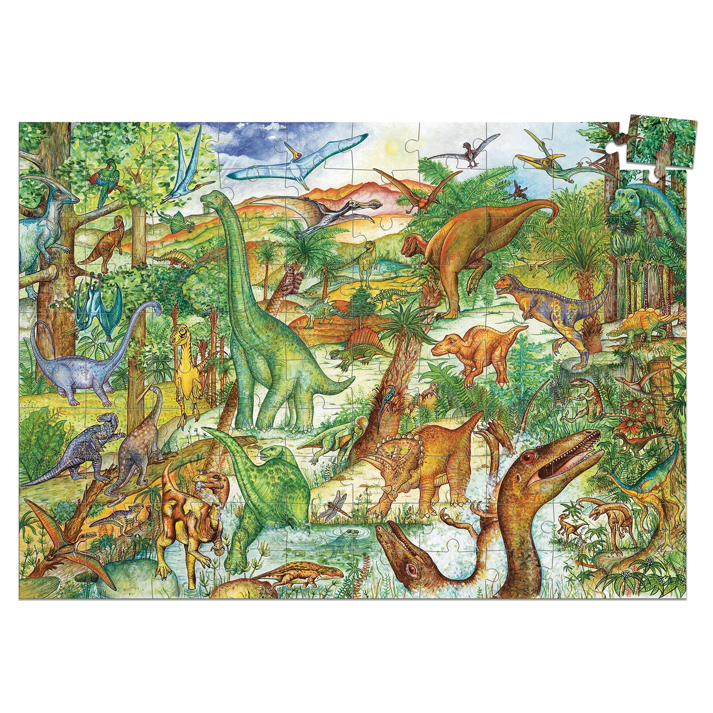 Puzzle d'observation "Dinosaures" Djeco Djeco - Maison Continuum