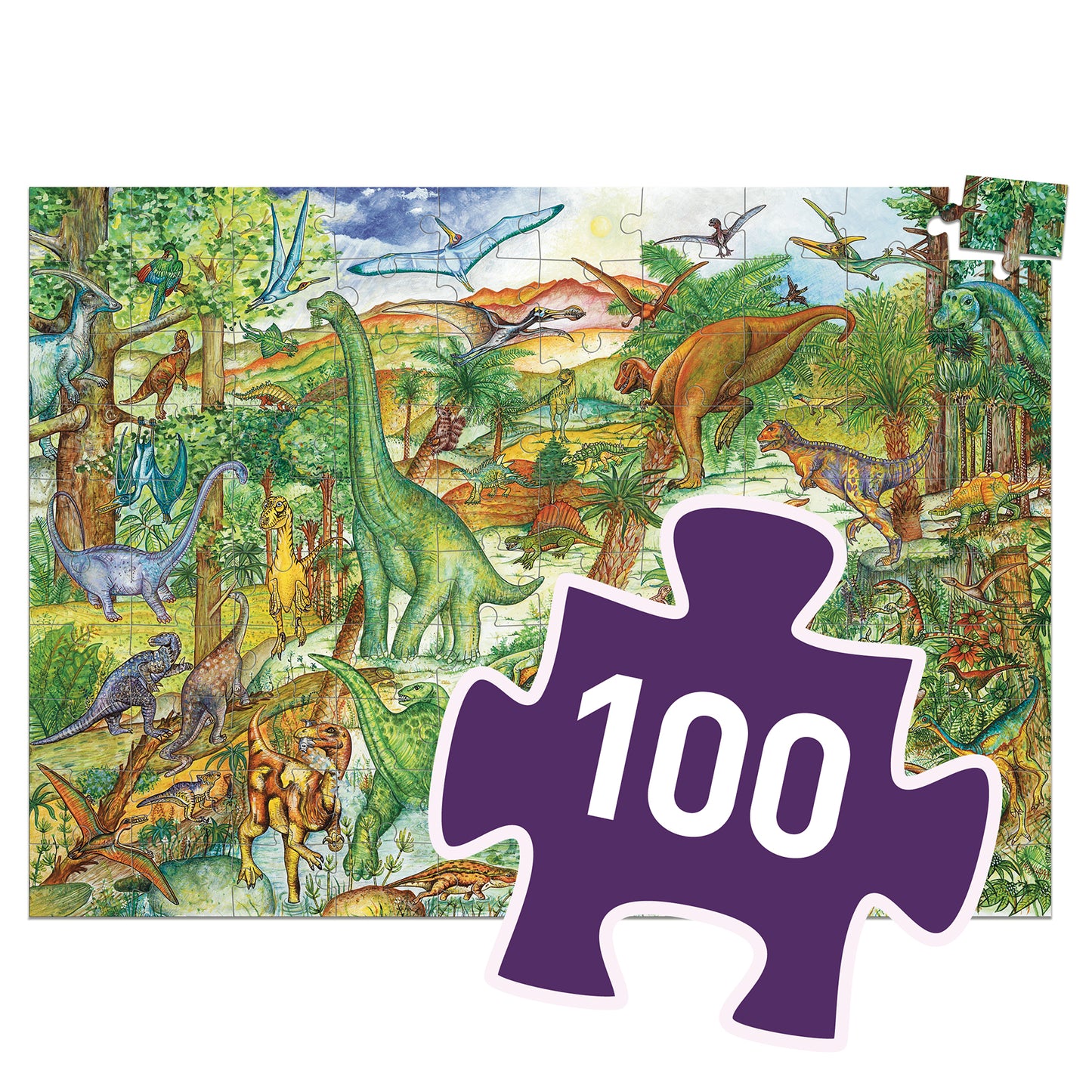 Puzzle d'observation "Dinosaures" Djeco Djeco - Maison Continuum