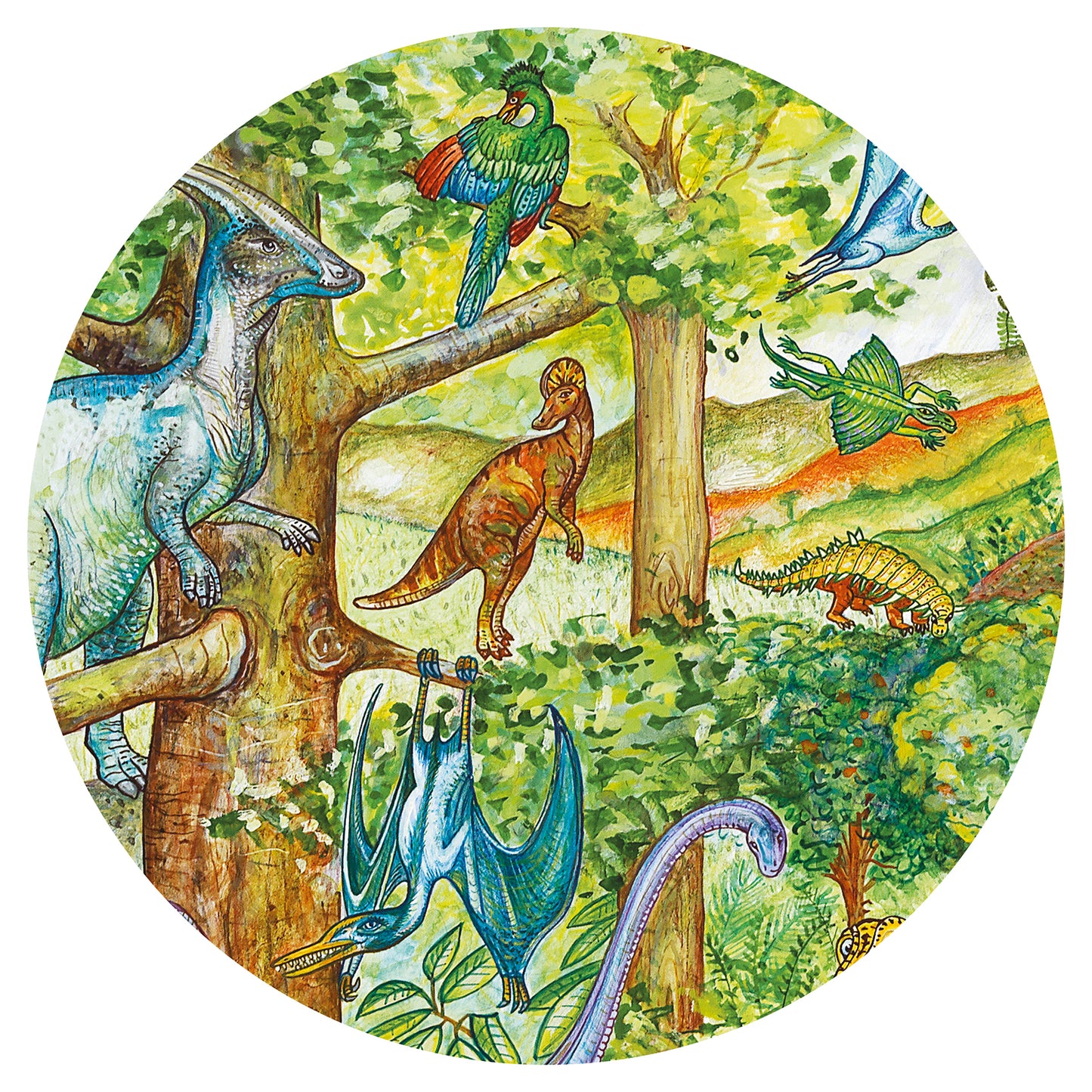Puzzle d'observation "Dinosaures" Djeco Djeco - Maison Continuum
