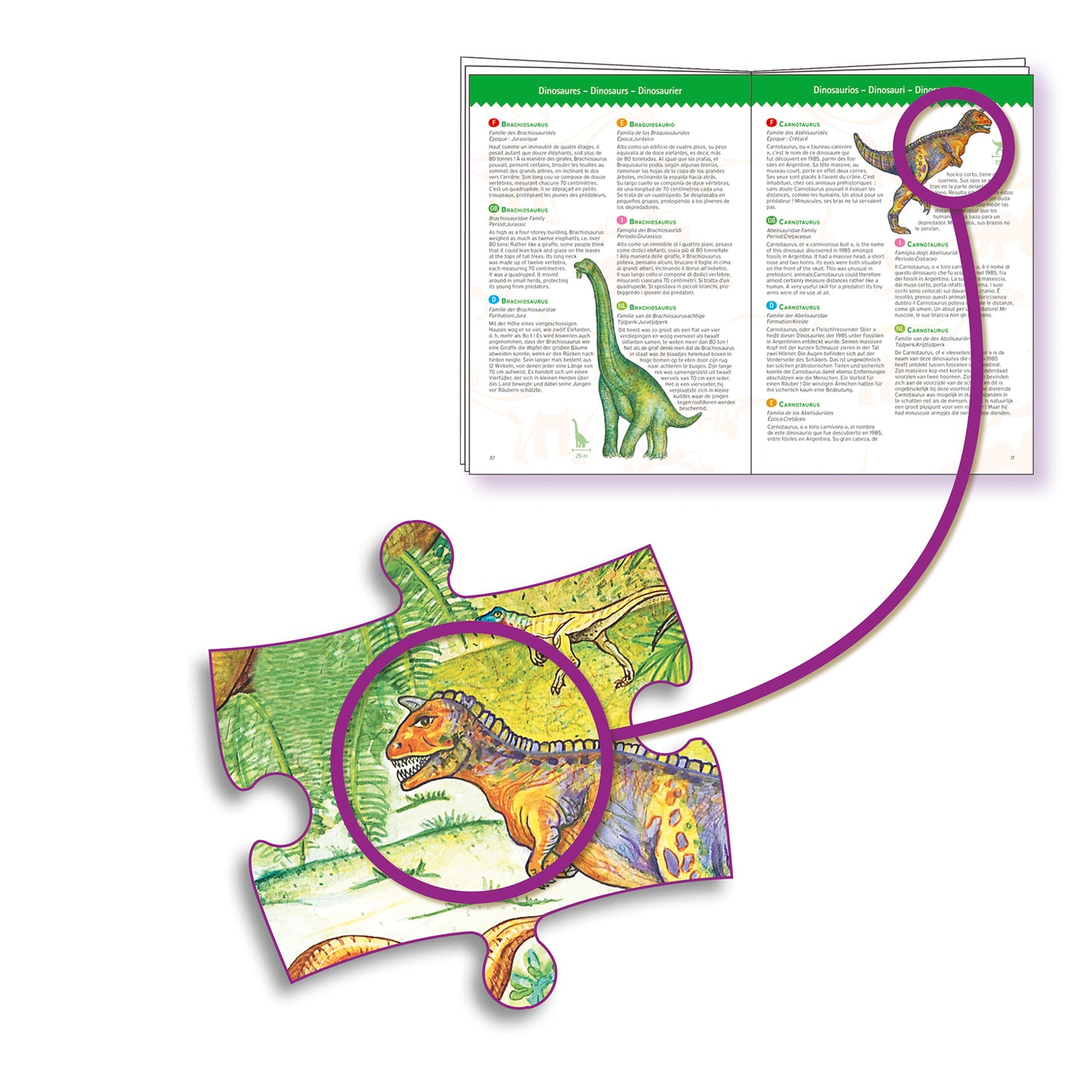Puzzle d'observation "Dinosaures" Djeco Djeco - Maison Continuum