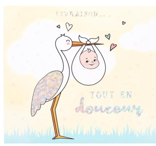 Cartes de Vœux Naissance Depesche - Maison Continuum