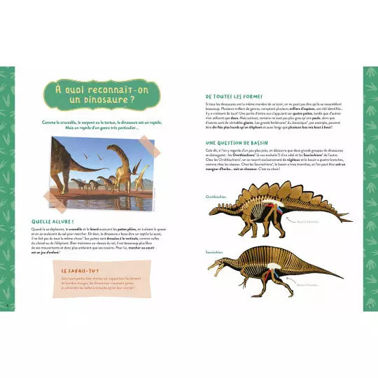 Mon coffret d'artiste "Mes dinosaures à construire" Auzou - Maison Continuum