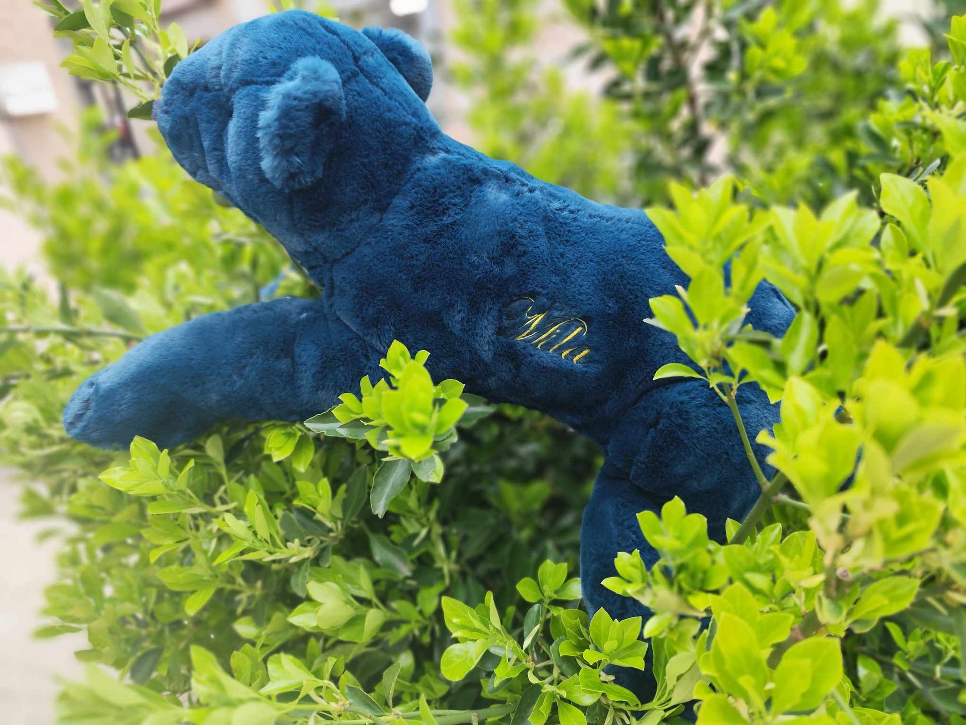 Peluche grande panthère Moulin Roty - Maison Continuum