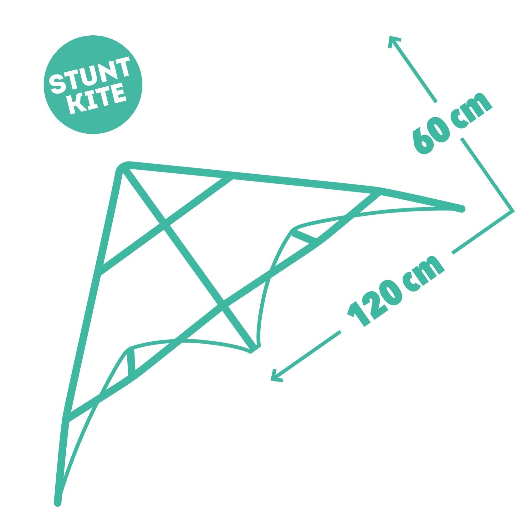 Cerf-volant Green Wave Djeco Djeco - Maison Continuum