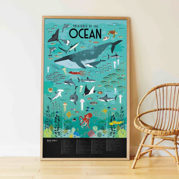 Poster pédagogique océan - Maison Continuum