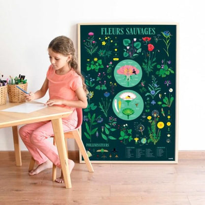 Poster pédagogique botanique - Maison Continuum