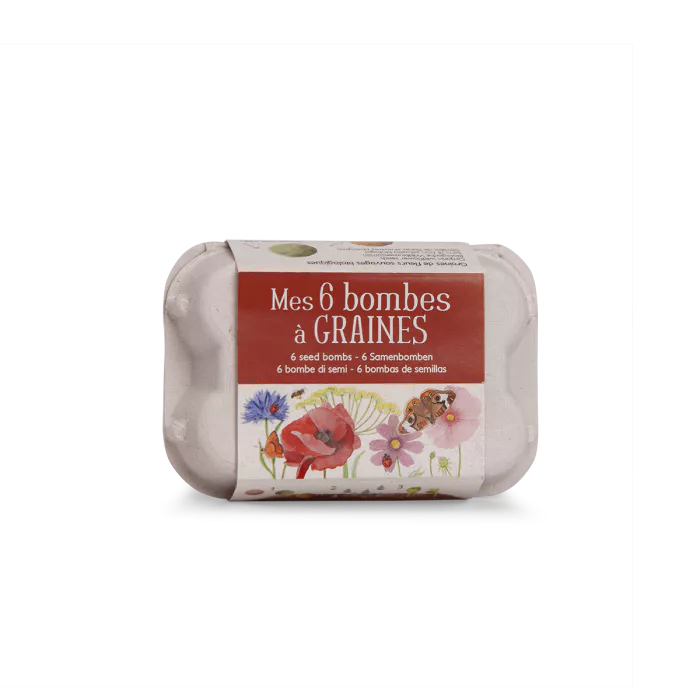 Set de 6 bombes à graines dans leur boîte à œufs Moulin Roty - Maison Continuum