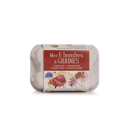 Set de 6 bombes à graines dans leur boîte à œufs Moulin Roty - Maison Continuum