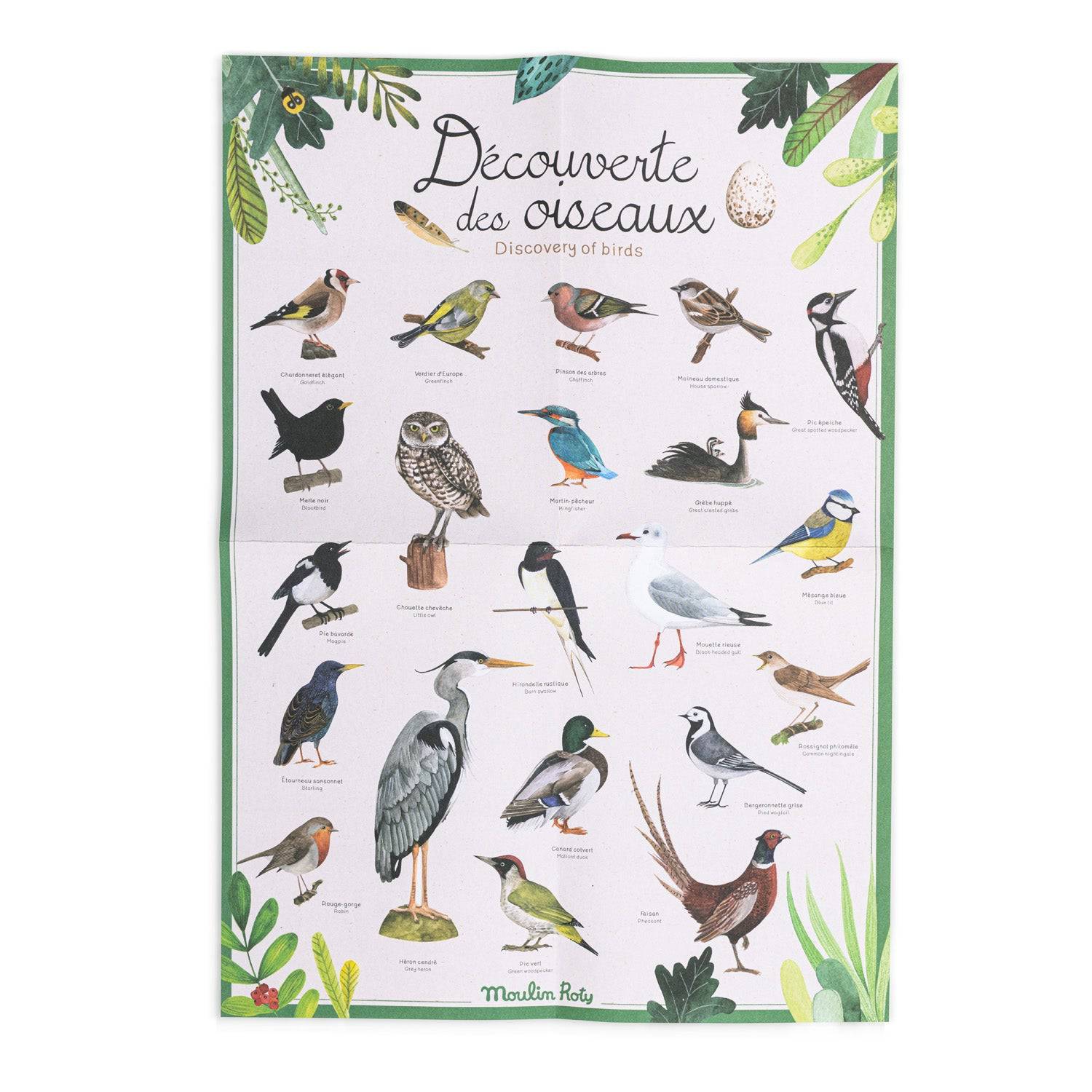 Coffret découverte des oiseaux Moulin Roty - Maison Continuum