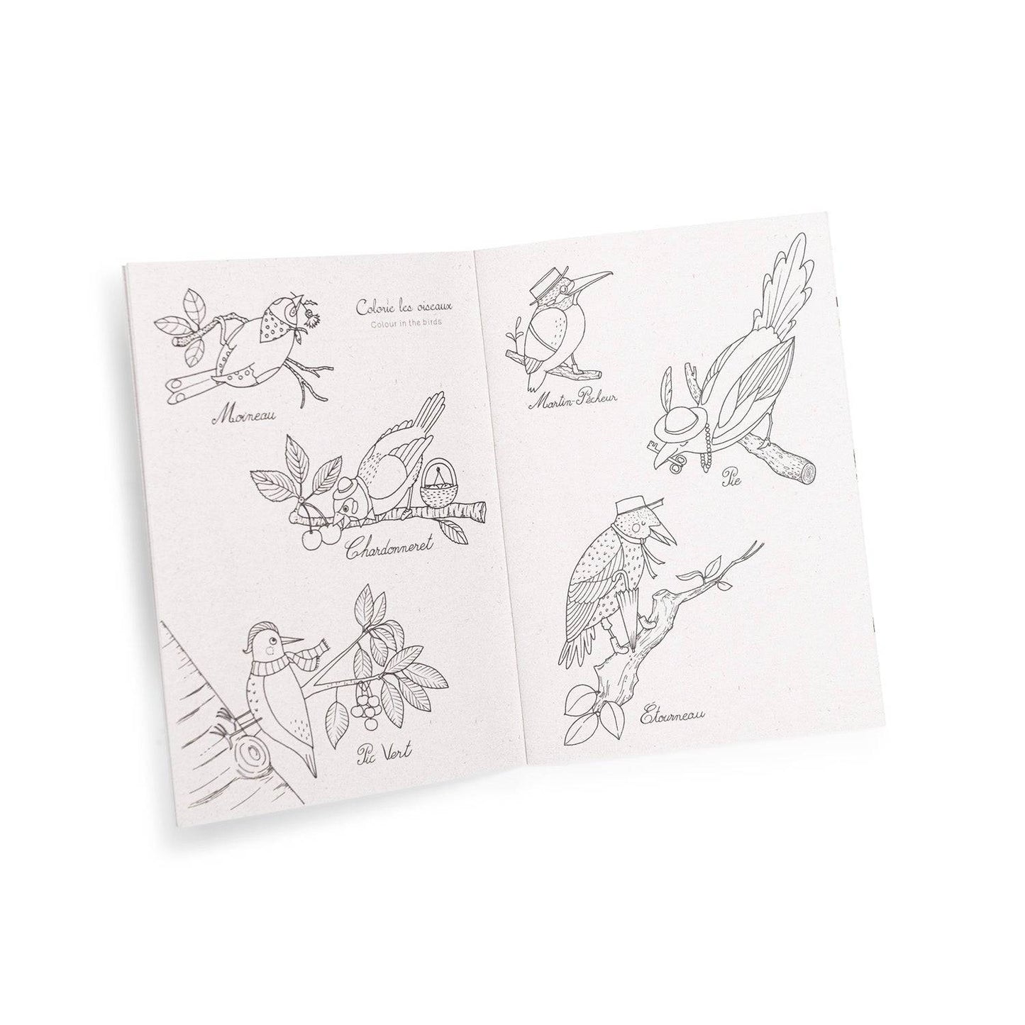 Coffret découverte des oiseaux Moulin Roty - Maison Continuum