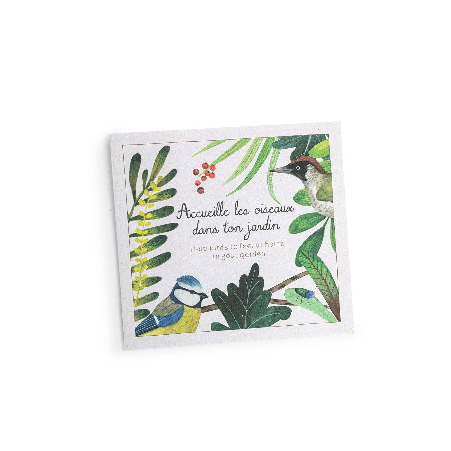 Coffret découverte des oiseaux Moulin Roty - Maison Continuum
