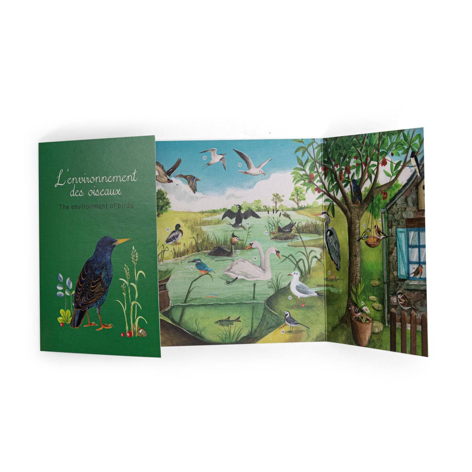 Coffret découverte des oiseaux Moulin Roty - Maison Continuum