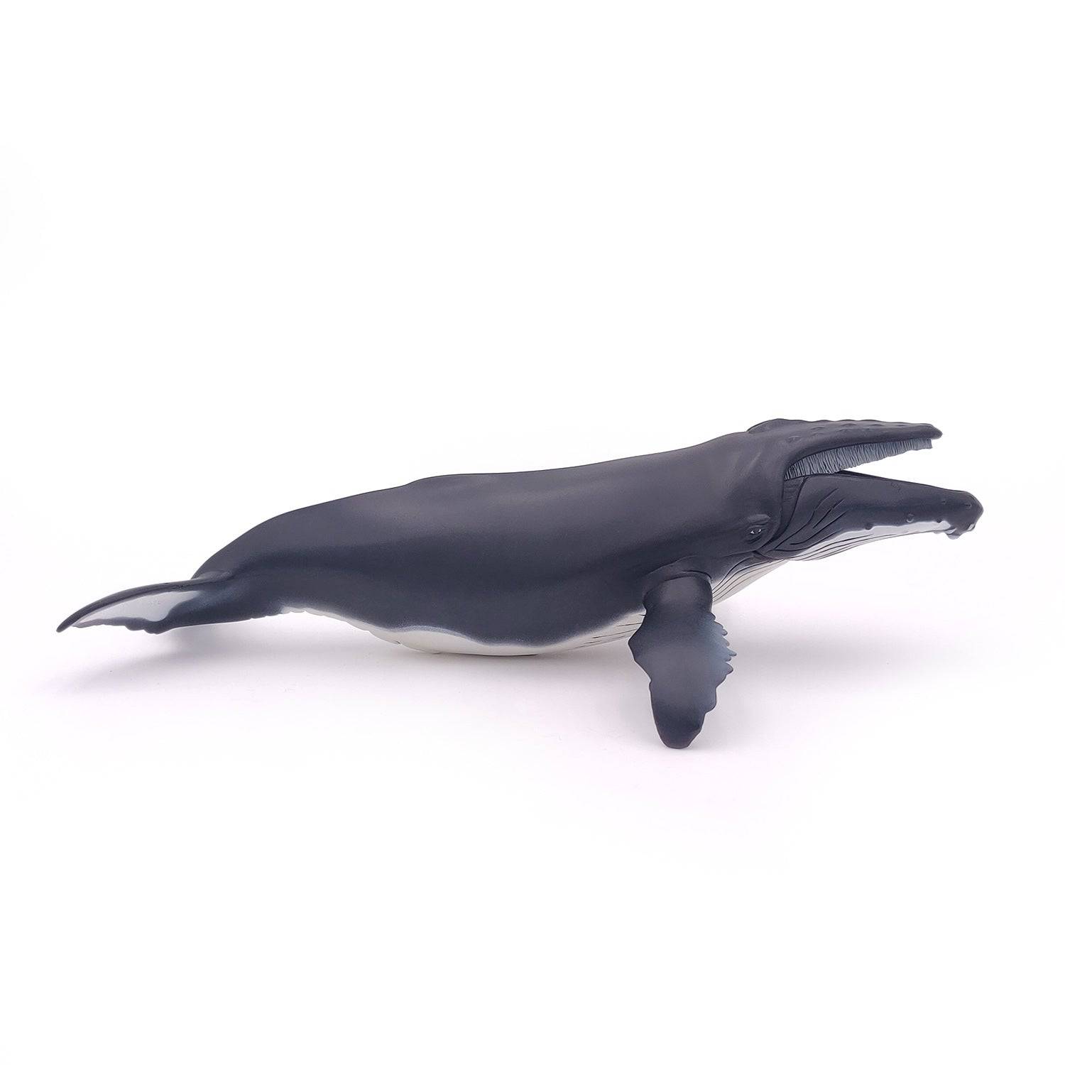 Figurine baleine à bosse - Maison Continuum