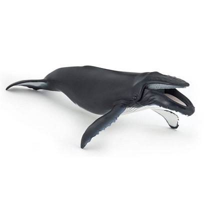 Figurine baleine à bosse - Maison Continuum