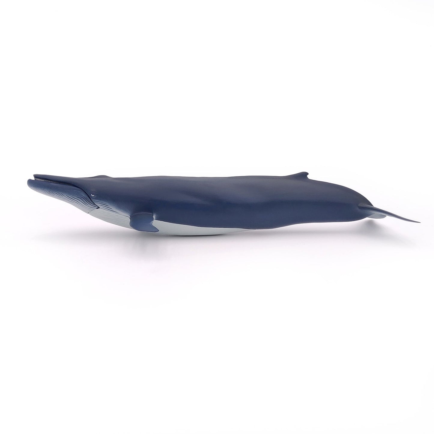 Figurine baleine bleue - Maison Continuum