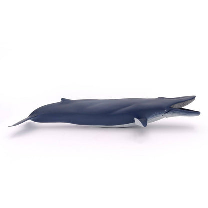 Figurine baleine bleue - Maison Continuum