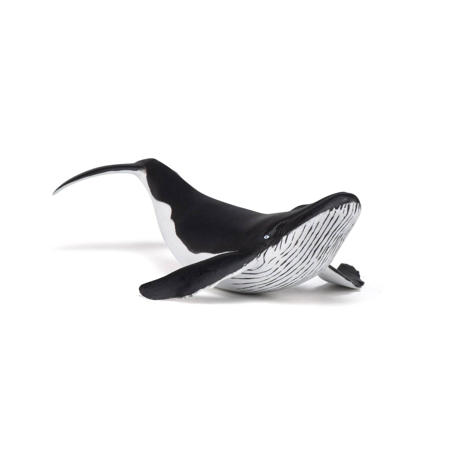 Figurine baleineau à bosse - Maison Continuum
