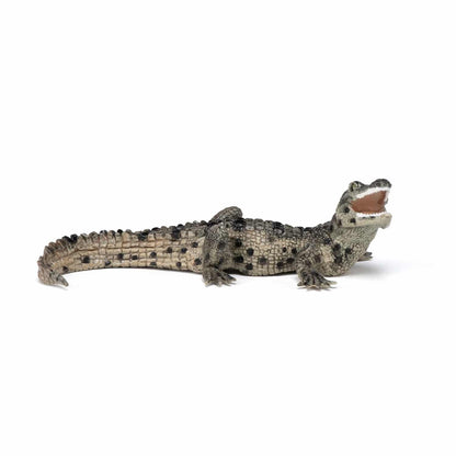 Figurine bébé crocodile - Maison Continuum