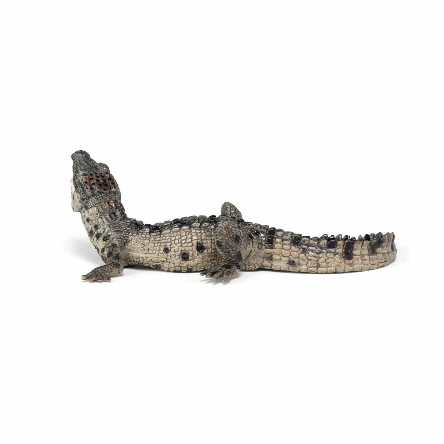 Figurine bébé crocodile - Maison Continuum