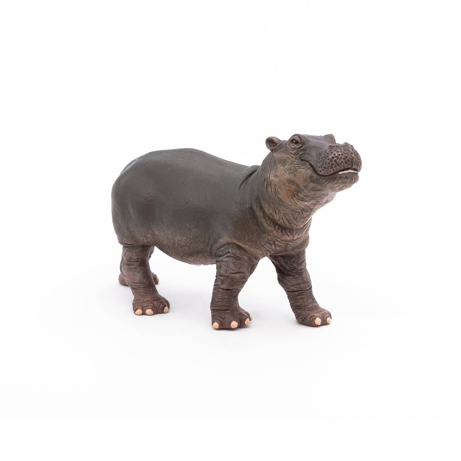Figurine bébé hippopotame - Maison Continuum