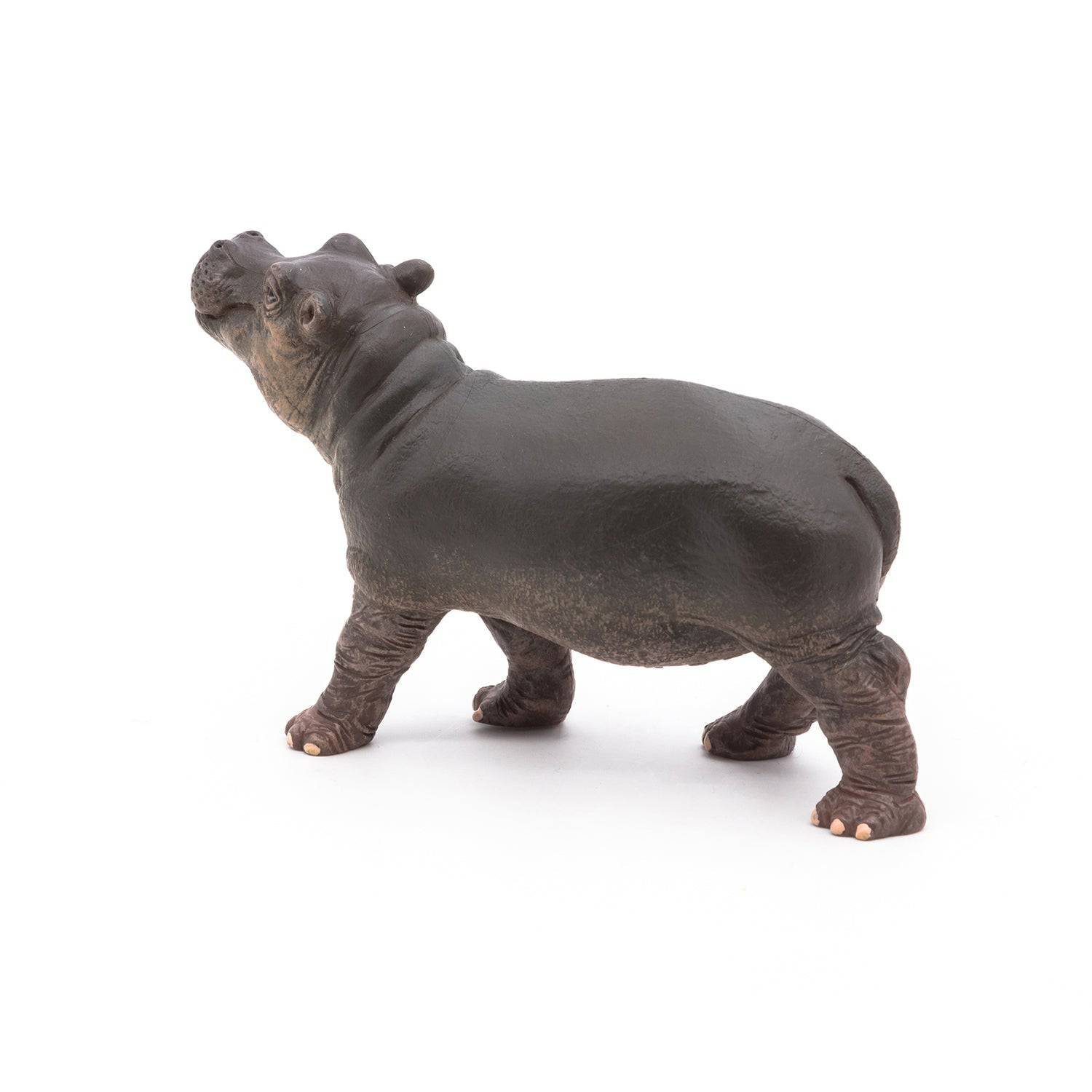 Figurine bébé hippopotame - Maison Continuum
