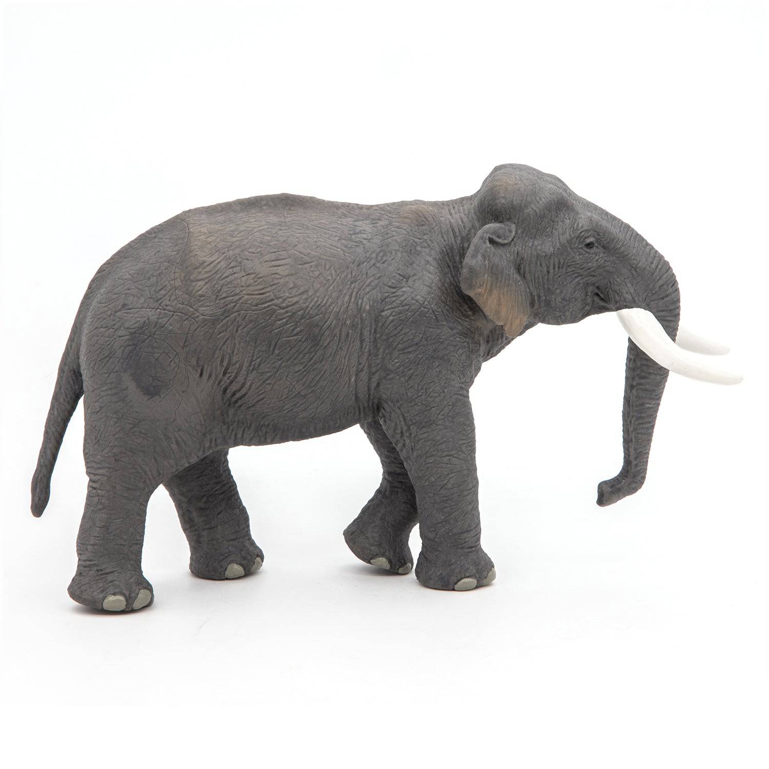 Figurine éléphant d’Asie Papo France - Maison Continuum
