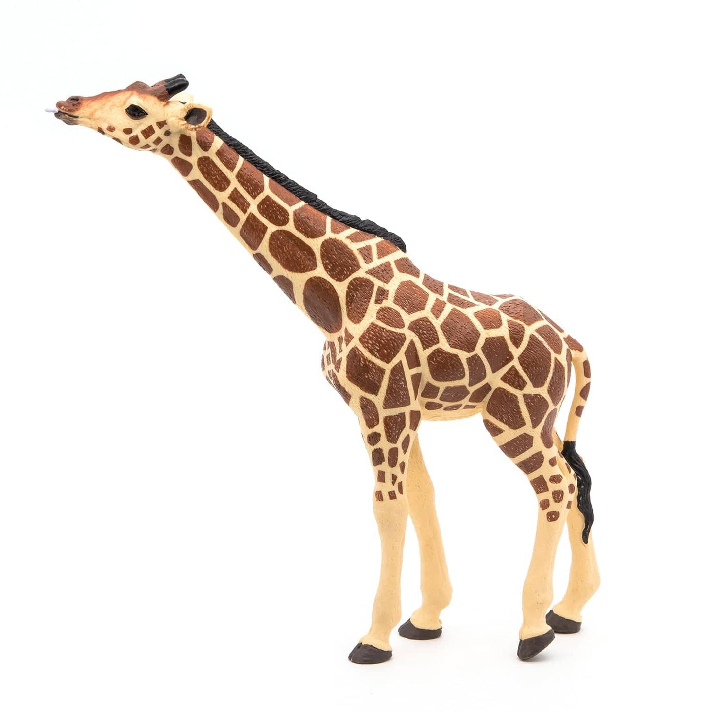 Figurine girafe femelle tête levée - Maison Continuum