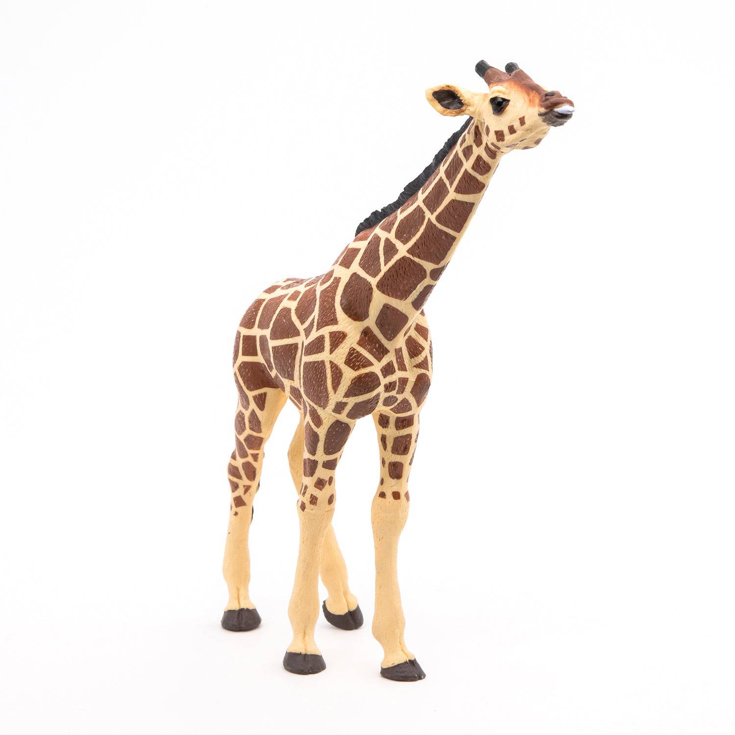 Figurine girafe femelle tête levée Papo France - Maison Continuum