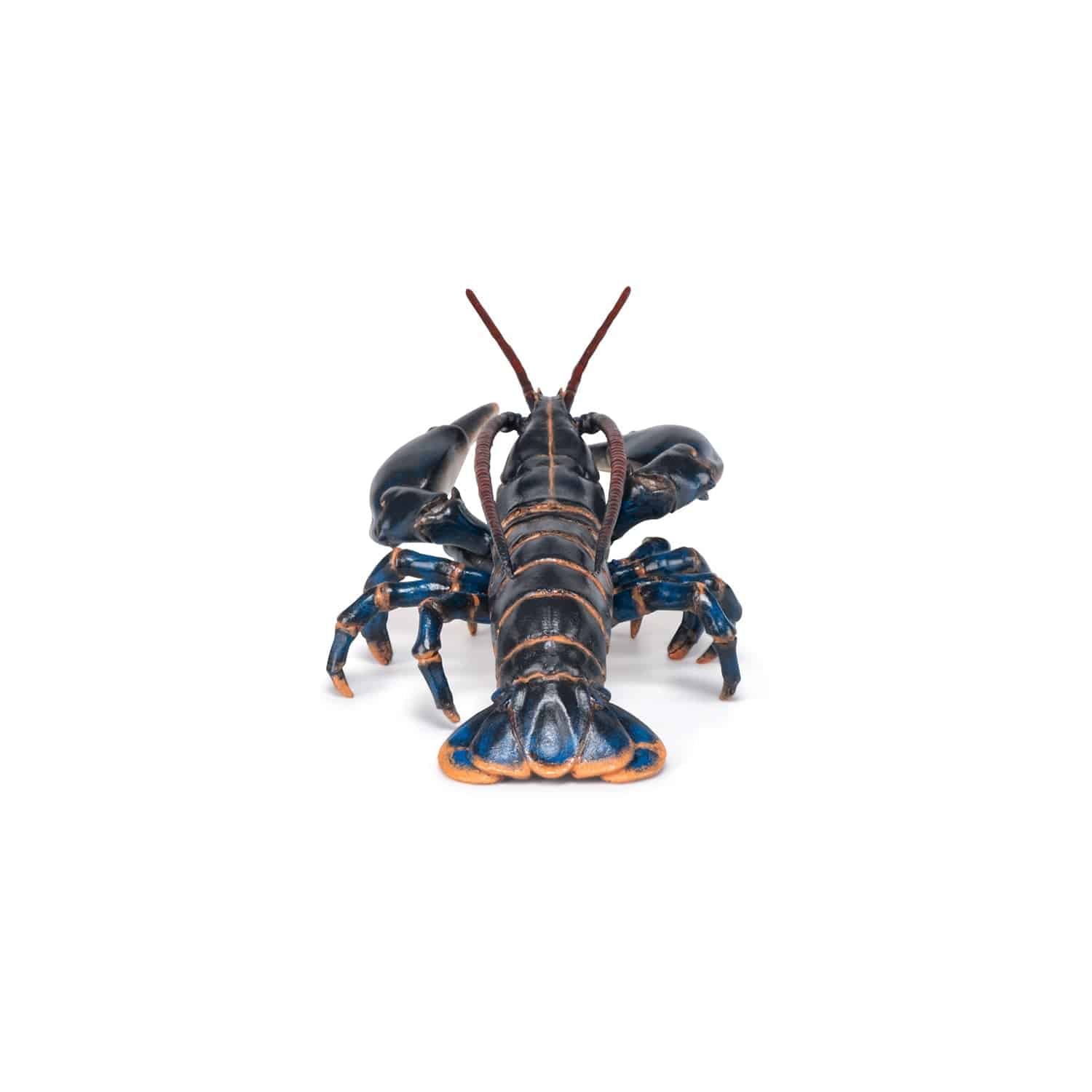 Figurine homard européen - Maison Continuum