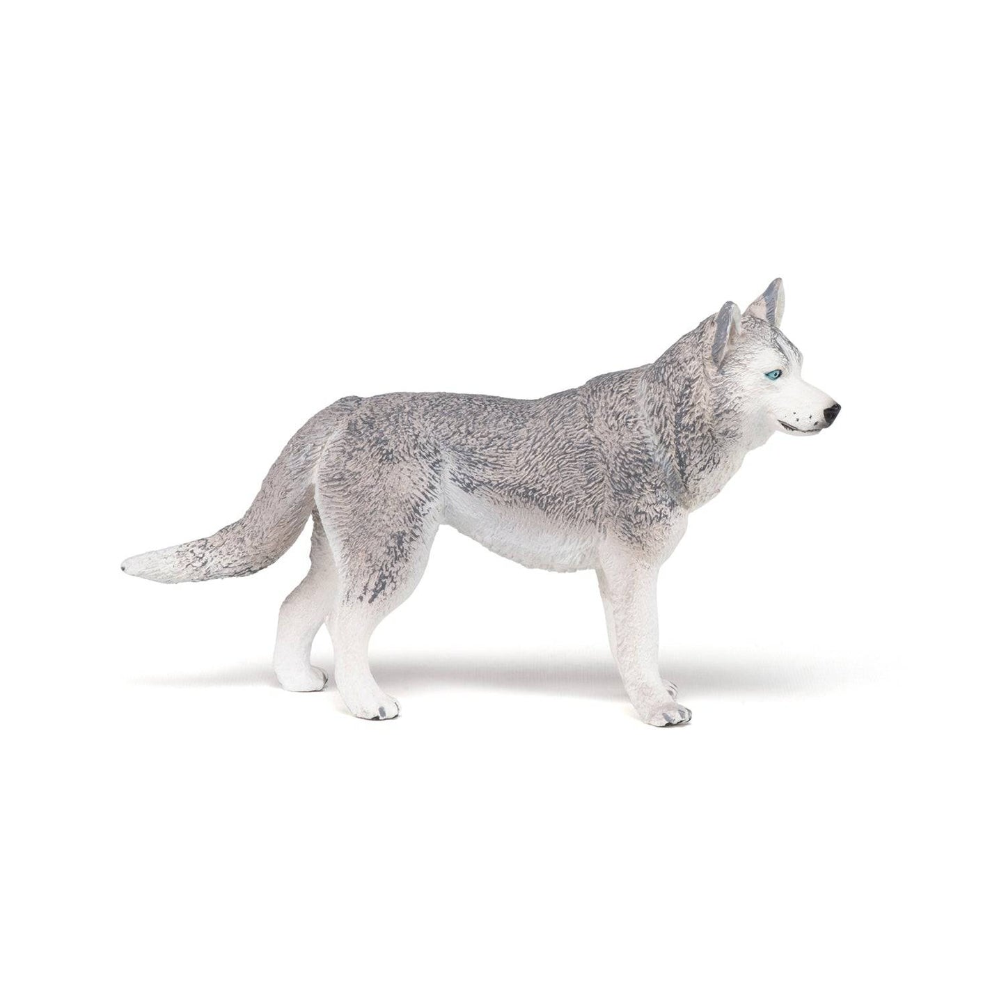 Figurine Husky de Sibérie Papo France - Maison Continuum