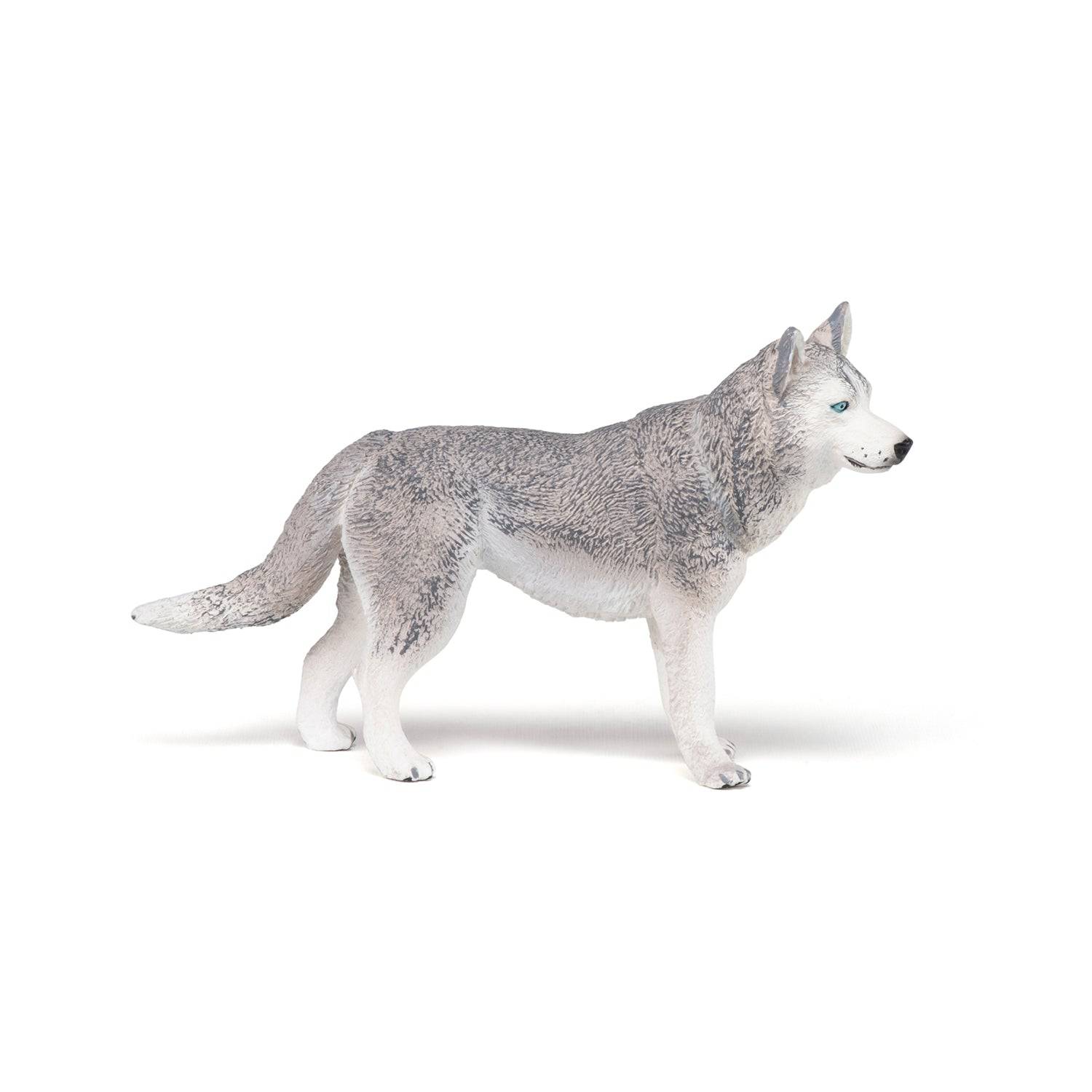 Figurine Husky de Sibérie Papo France - Maison Continuum