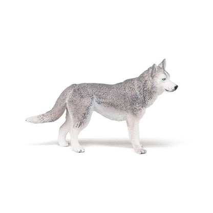 Figurine Husky de Sibérie Papo France - Maison Continuum