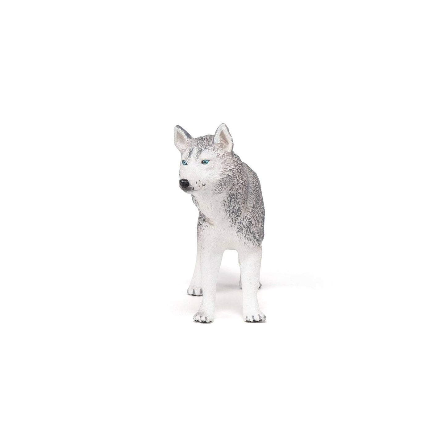 Figurine Husky de Sibérie Papo France - Maison Continuum