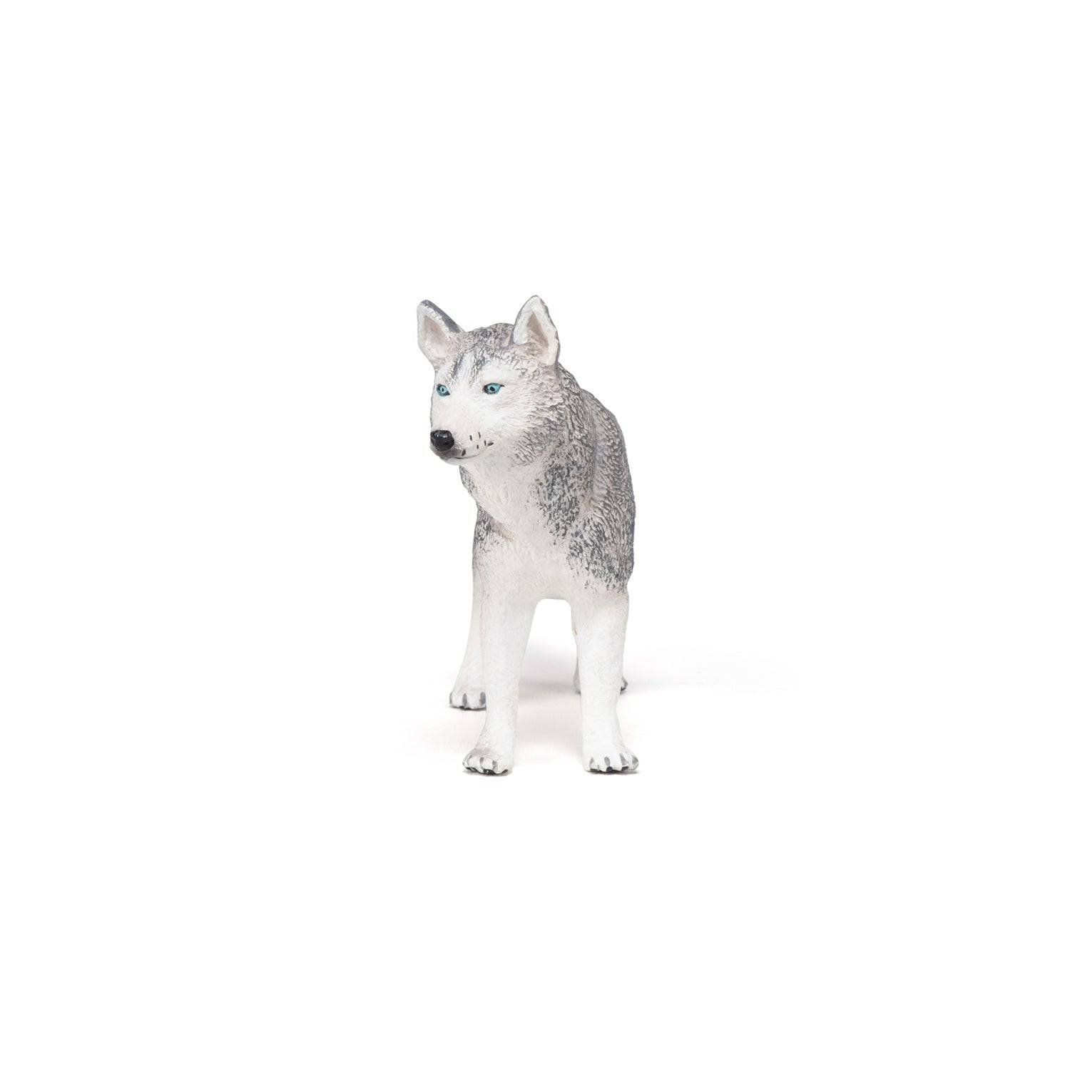 Figurine Husky de Sibérie Papo France - Maison Continuum