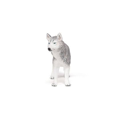 Figurine Husky de Sibérie Papo France - Maison Continuum