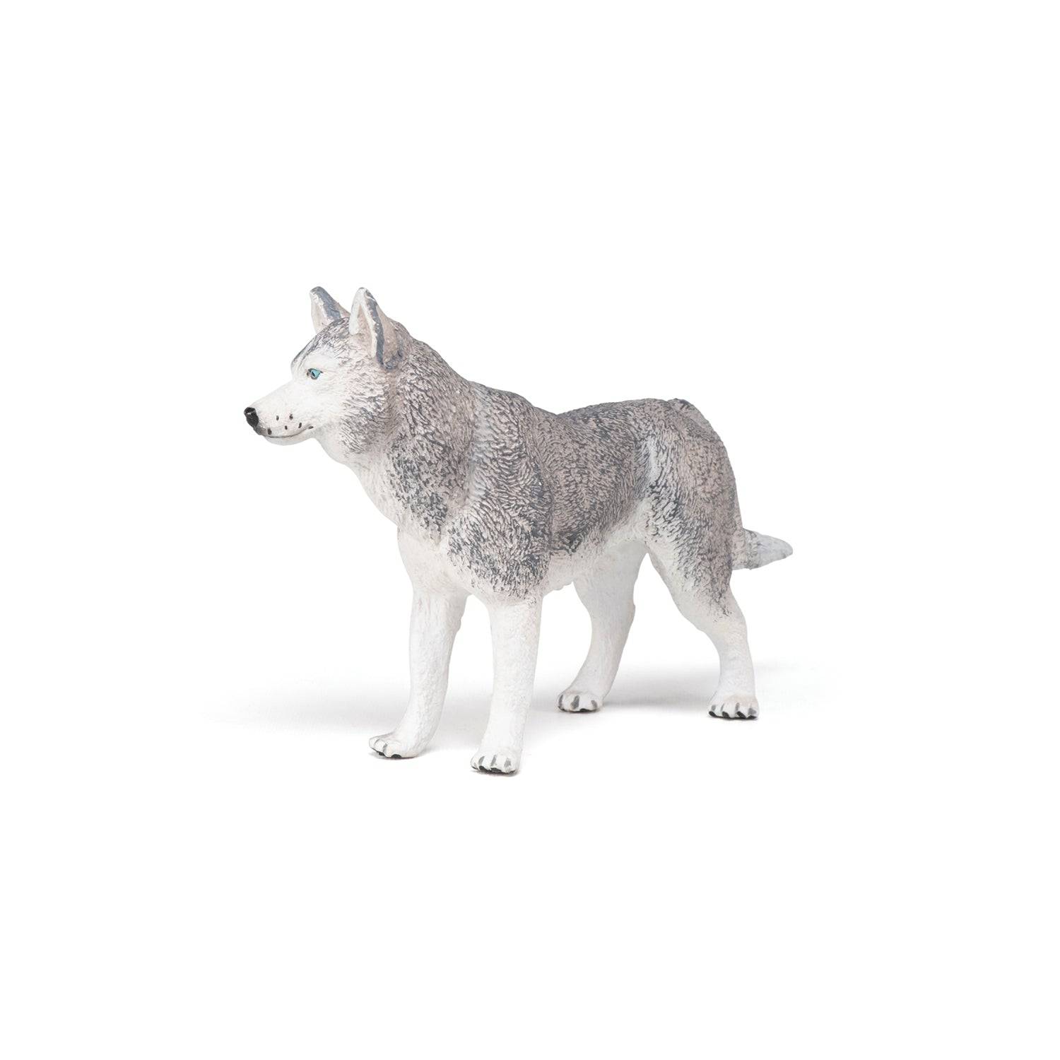Figurine Husky de Sibérie Papo France - Maison Continuum