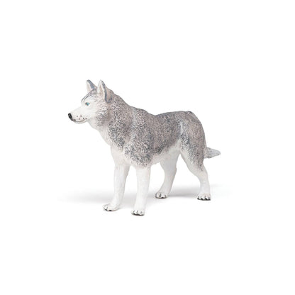 Figurine Husky de Sibérie Papo France - Maison Continuum