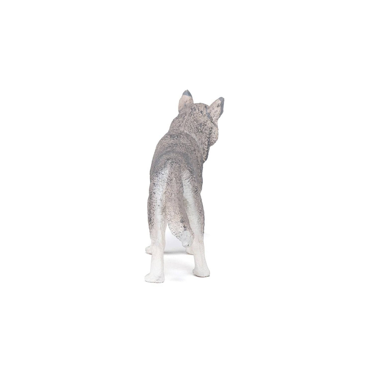 Figurine Husky de Sibérie Papo France - Maison Continuum