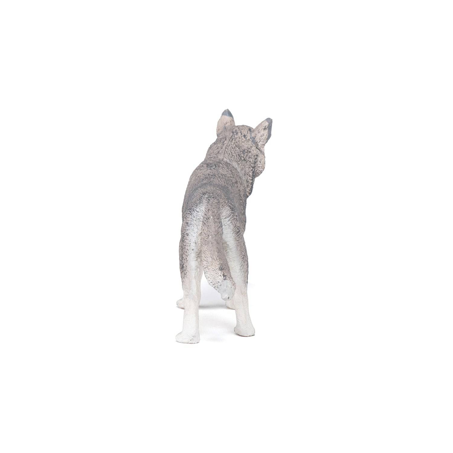 Figurine Husky de Sibérie Papo France - Maison Continuum