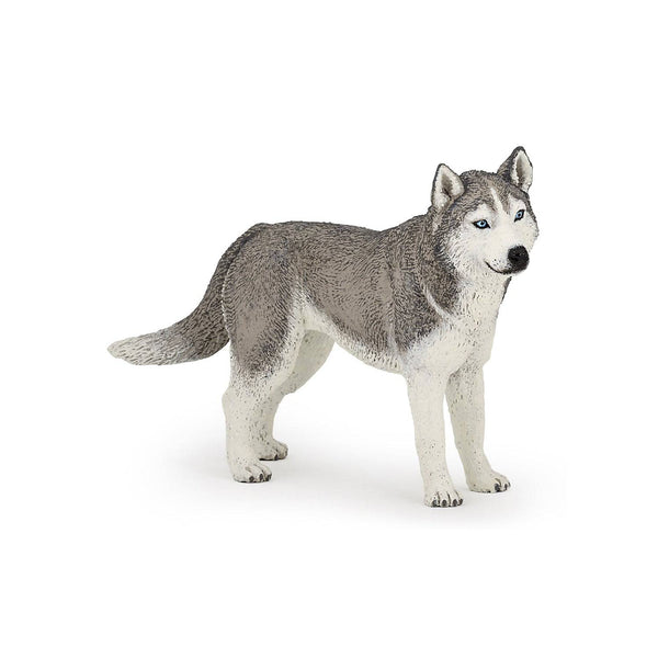 Figurine Husky de Sibérie
