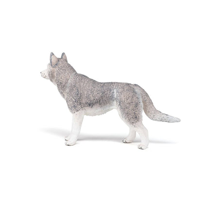 Figurine Husky de Sibérie - Maison Continuum