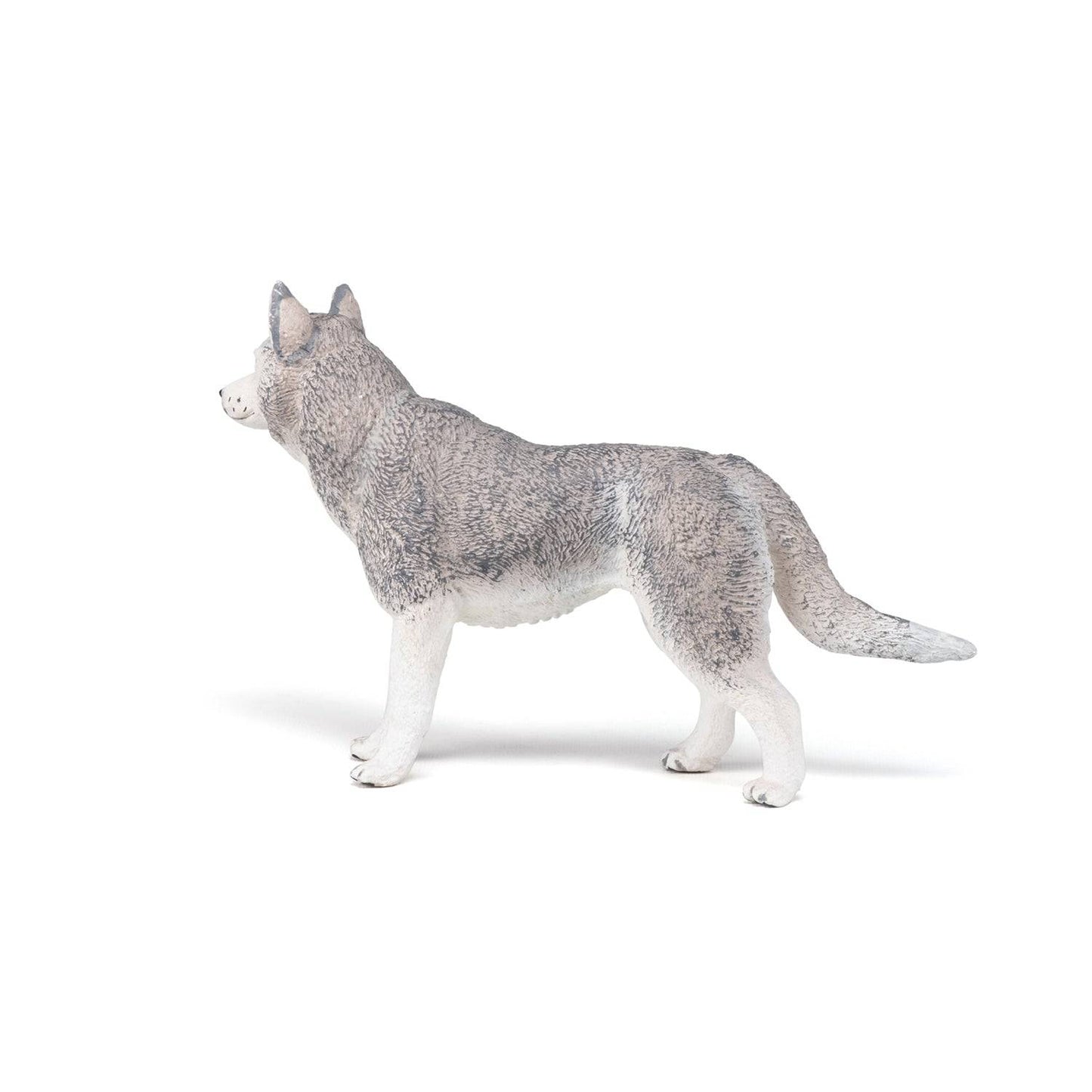 Figurine Husky de Sibérie Papo France - Maison Continuum