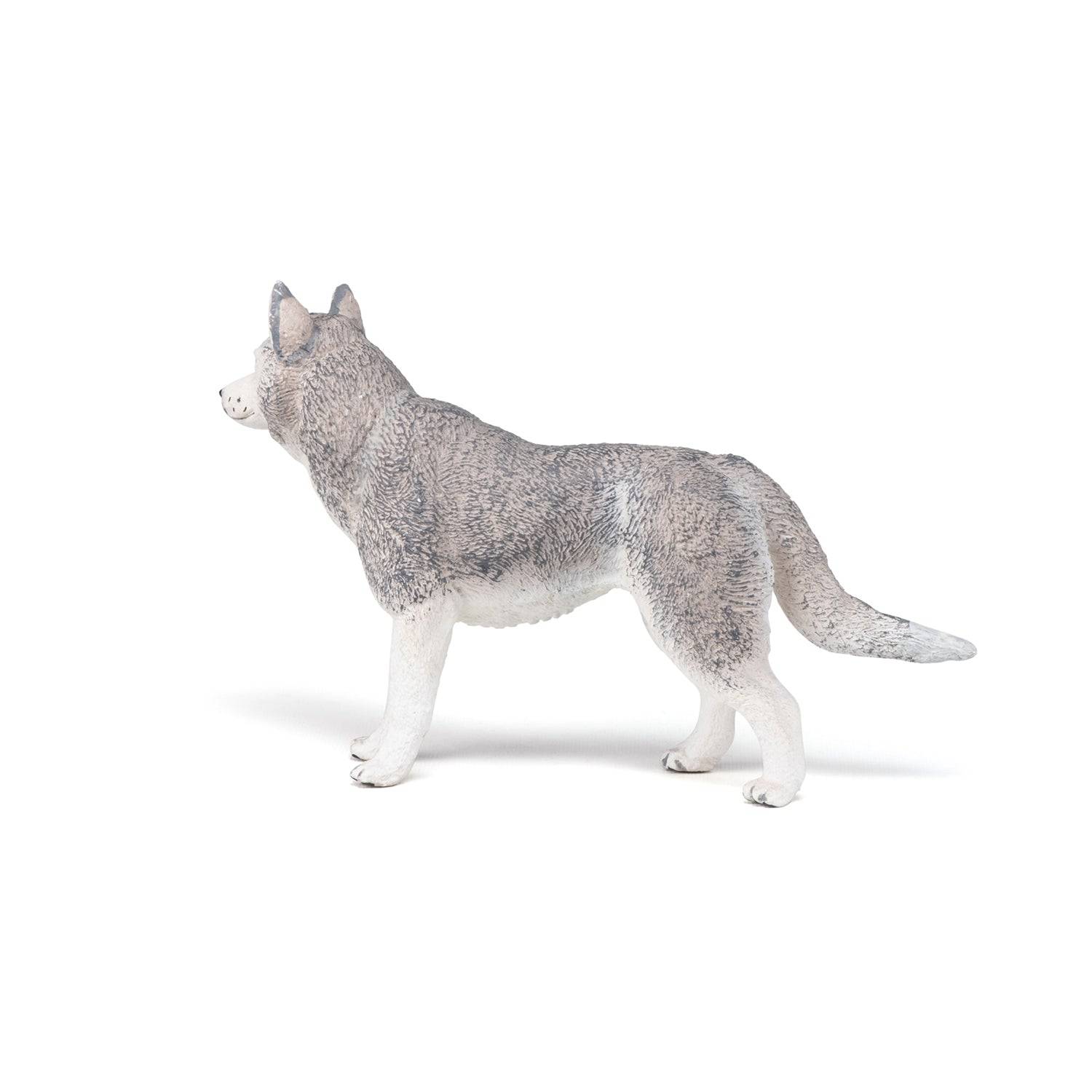 Figurine Husky de Sibérie Papo France - Maison Continuum