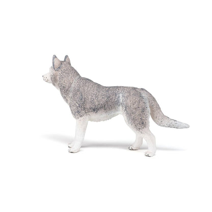 Figurine Husky de Sibérie Papo France - Maison Continuum
