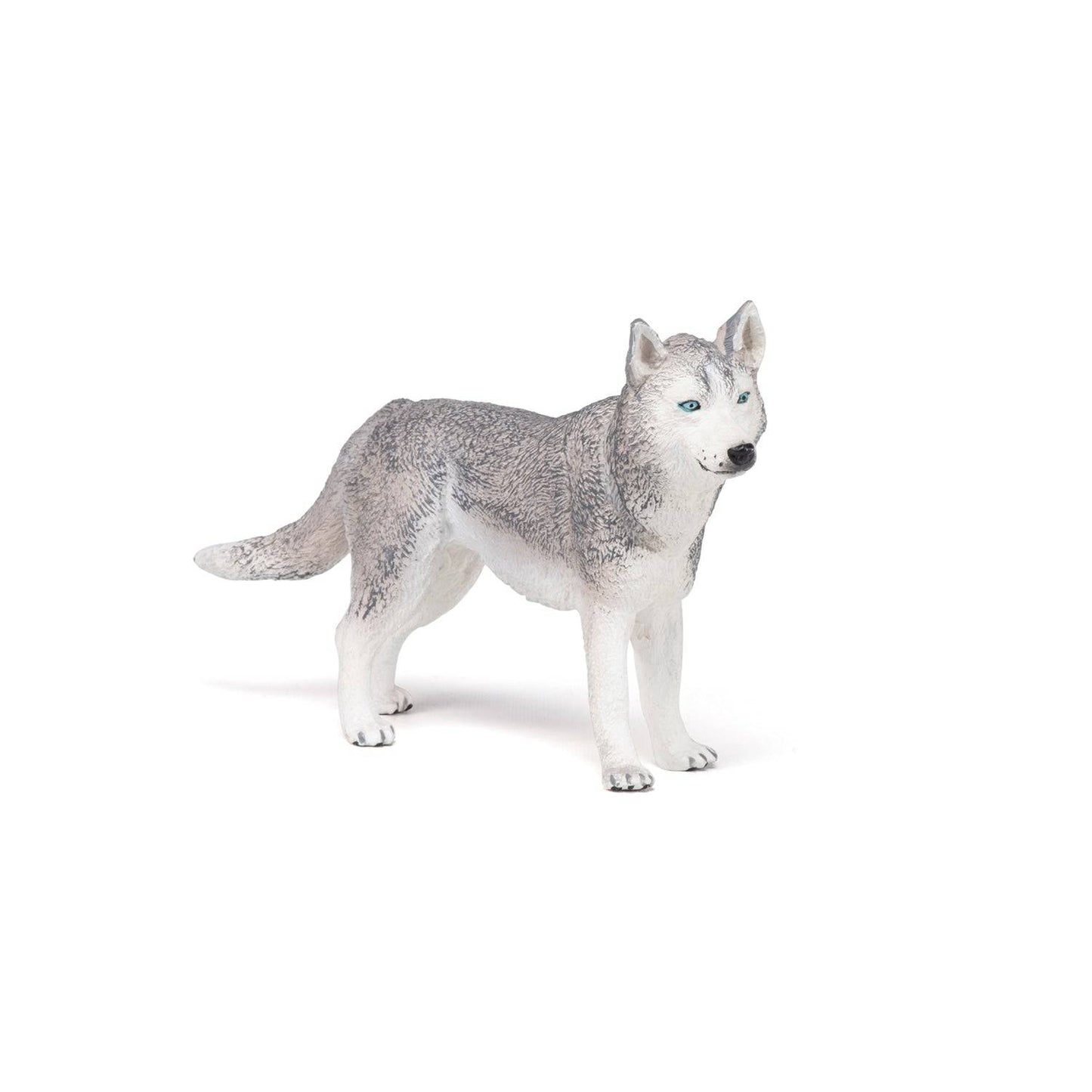 Figurine Husky de Sibérie Papo France - Maison Continuum