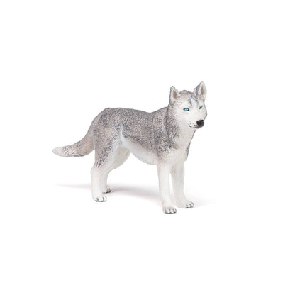 Figurine Husky de Sibérie Papo France - Maison Continuum