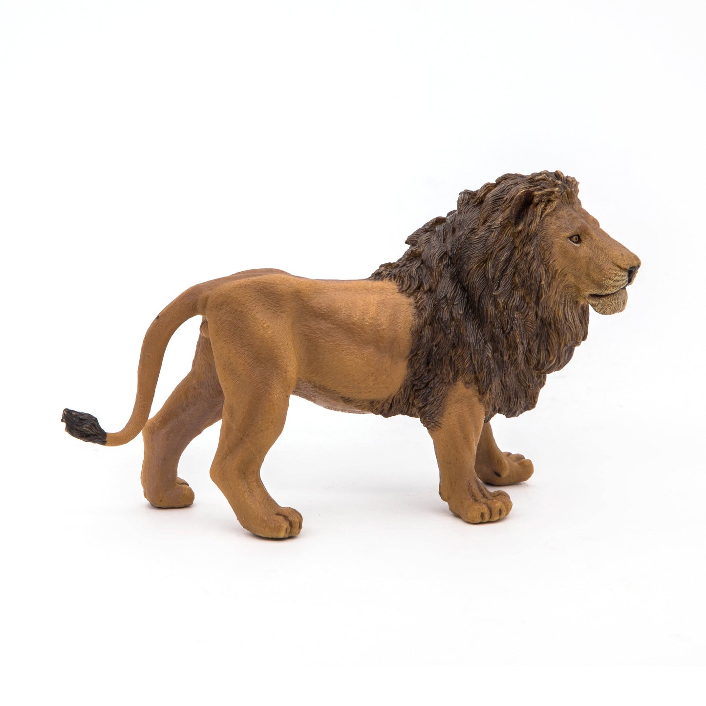 Figurine lion - Maison Continuum