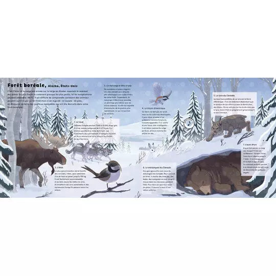 Livre "Les sons de la nature" Auzou - Maison Continuum