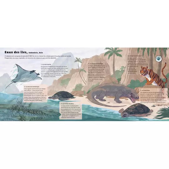 Livre "Les sons de la nature" Auzou - Maison Continuum